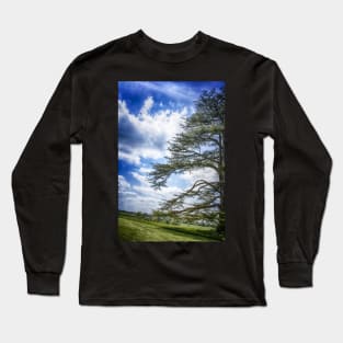 Cedar of Lebanon tree with blue sky Long Sleeve T-Shirt